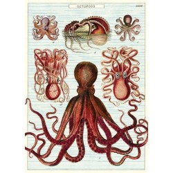 CAVALLINI D Octopods Poster Wrap CAVALLINI D Octopods Poster Wrap
