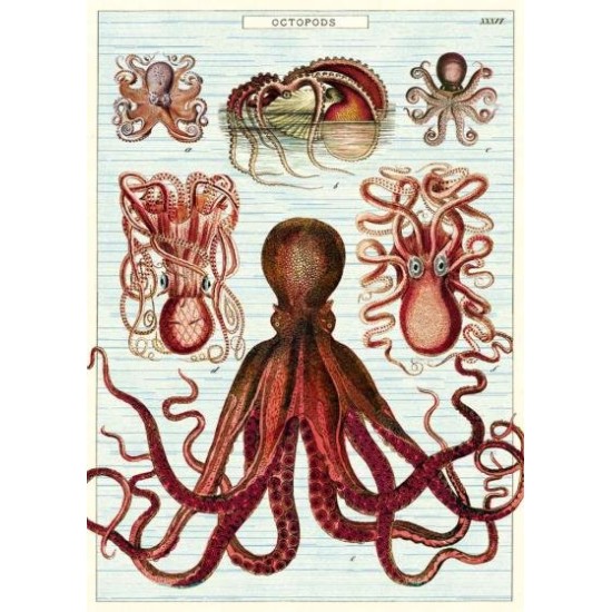 CAVALLINI D Octopods Poster Wrap