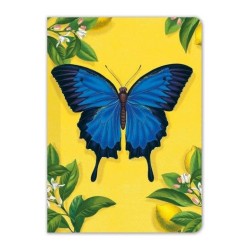 Ulysses Butterfly Mini Notebook
