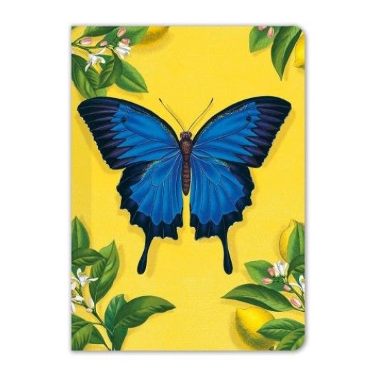 Ulysses Butterfly Mini Notebook