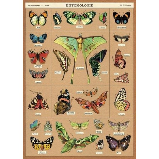 CAVALLINI Entomology Poster Wrap