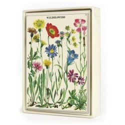 Wildflowers 8 Pkt - Boxed Notecards Wildflowers 8 Pkt - Boxed Notecards