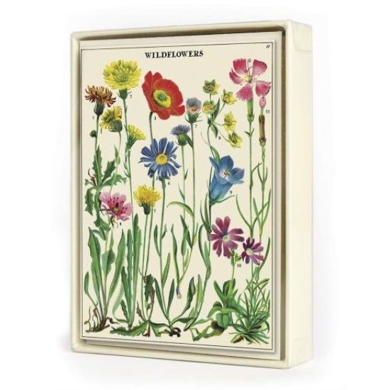 Wildflowers 8 Pkt - Boxed Notecards