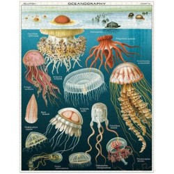 CAVALLINI Jellyfish 1000 Pce - Vintage Puzzle CAVALLINI Jellyfish 1000 Pce - Vintage Puzzle