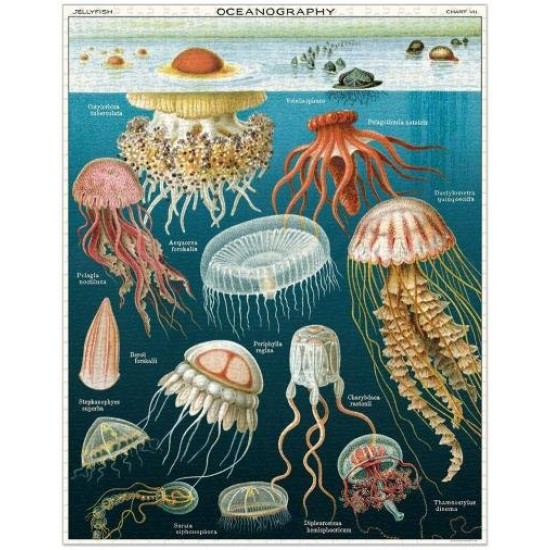 CAVALLINI Jellyfish 1000 Pce - Vintage Puzzle