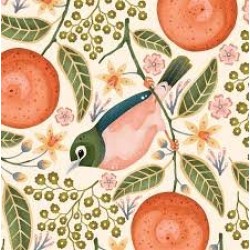 Waxeyes & Mandarins 20 Pkt - Paper Napkins Waxeyes & Mandarins 20 Pkt - Paper Napkins