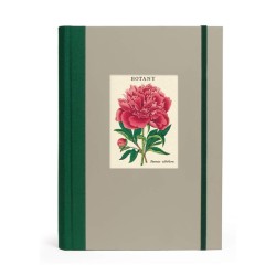 Botanica - Window Journal Botanica - Window Journal