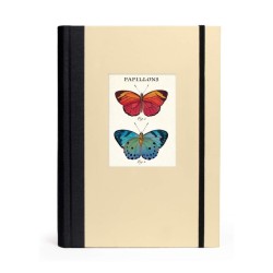 Butterflies - Window Journal Butterflies - Window Journal