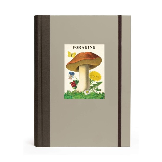 Foraging - Window Journal