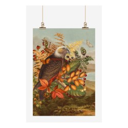Tea Towel - Vintage - Kaka Tea Towel - Vintage - Kaka