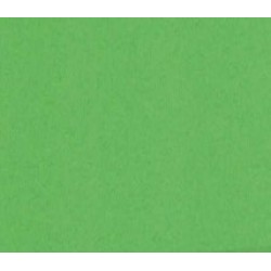 TROPHEE PAPER A4 BILLIARD GREEN 80GSM 500 SHEETS