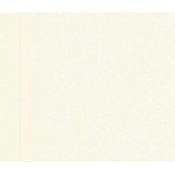 PAPAGO PAPER A4 CREAM 80GSM 500 SHEETS PAPAGO PAPER A4 CREAM 80GSM 500 SHEETS