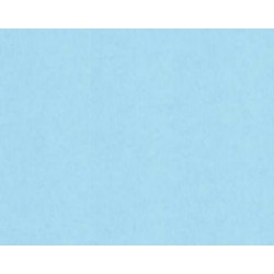 TROPHEE CARD A4 DARK BLUE 160GSM 250 SHEETS