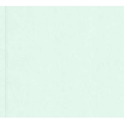TROPHEE PAPER A4 GREEN 80GSM 500 SHEETS