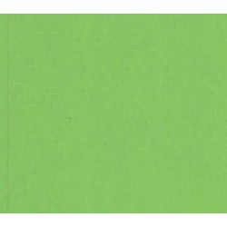 TROPHEE PAPER A4 INTENSIVE GREEN 80GSM 500 SHEETS