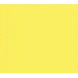 TROPHEE CARD A4 INTENSIVE YELLOW 160 GSM 250 SHEETS