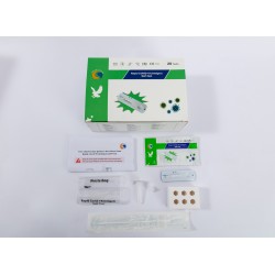 Orient Gene Rapid Antigen Test - Pack 20 Orient Gene Rapid Antigen Test - Pack 20