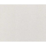 TROPHEE CARD A4 STEEL GREY 160GSM 250 SHEETS