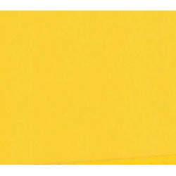 TROPHEE PAPER A4 SUNFLOWER 80GSM 500 SHEETS TROPHEE PAPER A4 SUNFLOWER 80GSM 500 SHEETS